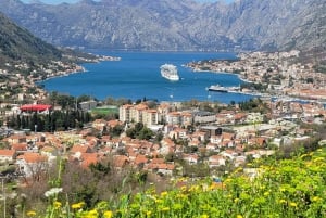 Kotor: Luxury Private Day Trip to Lovcen & Skadar Lake