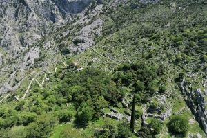 Kotor: Old Caravan Trail Guided Hike with Cheese Tasting