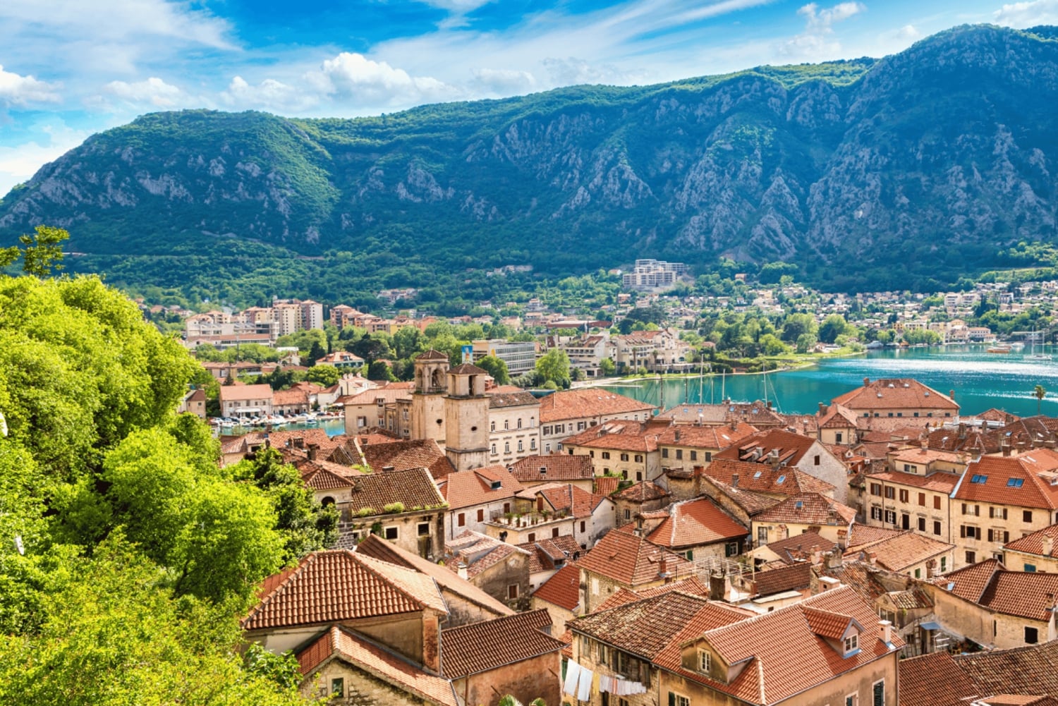 Kotor : Old Town Food & Wine Tasting Tour