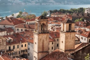 Kotor : Old Town Food & Wine Tasting Tour