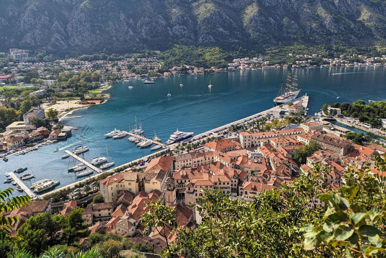 Kotor: Old Town Walking Tour and Cooking Class