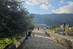 Kotor Old Town Walking Tour