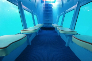 Kotor: Panorama and Semi-Submarine Underwater Experience