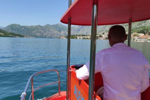 Kotor: Panorama and Semi-Submarine Underwater Experience