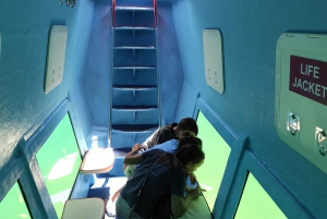 Kotor: Panorama and Semi-Submarine Underwater Experience