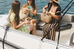 Kotor: Perast and Island- Lady of the Rocks-Speedboat Tour