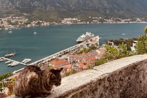 Kotor, Perast, cable car: Private Tour with Local Guide