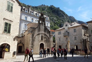 Kotor: Private Walking Tour with Wine and Food Tasting