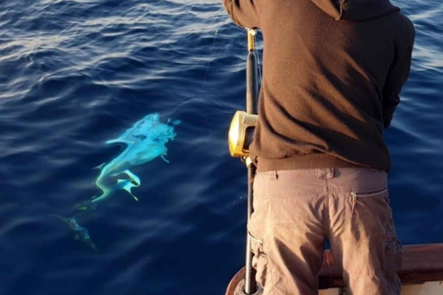 Kotor: Relaxing bay of Kotor Fishing Experience with Skipper