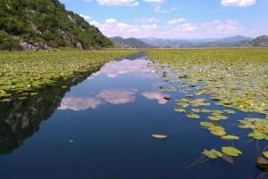 Kotor: Skadar Lake National Park with Wine Tasting