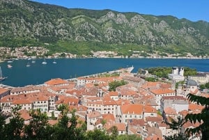 Kotor: Speedboat Tour or Transfer with Custom Options