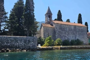 Kotor: Speedboat Tour or Transfer with Custom Options