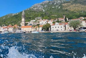 Kotor: Speedboat Tour or Transfer with Custom Options