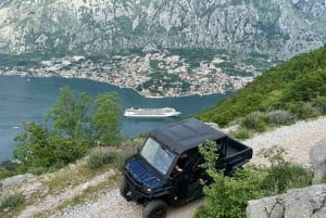 Kotor: Wild Safari & Panorama Adventure with Buggy