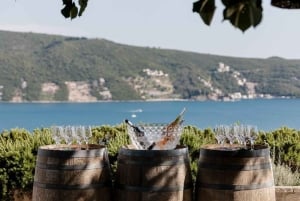 Kotor: Wine tasting & Lady of the Rocks speedboat getaway