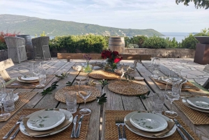 Kotor: Wine tasting & Lady of the Rocks speedboat getaway