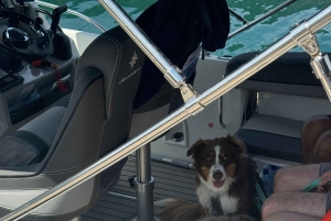 Kotor: Wine tasting & Lady of the Rocks speedboat getaway