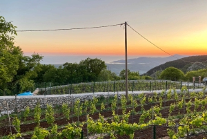 Kotor & Wine: Tasting the Charms Beneath Mount Lovcen for 2