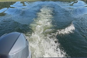 Lake Skadar: Boat Cruise