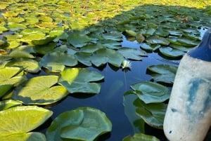 Lake Skadar: Boat Cruise