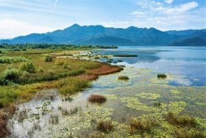 Lake Skadar National Park: Visit the Montenegrin Venice