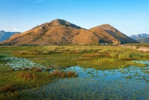 Lake Skadar National Park: Visit the Montenegrin Venice