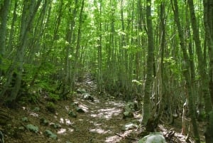Lovćen Hiking Private Tour