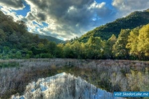 Magical 3hours: private all-over-the-Skadar-Lake Boat Tour