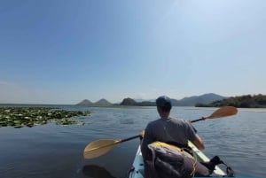 Magical 3hours: private all-over-the-Skadar-Lake Boat Tour