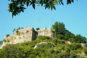 Magical 3hours: private all-over-the-Skadar-Lake Boat Tour