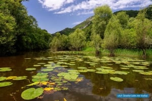 Magical 3hours: private all-over-the-Skadar-Lake Boat Tour