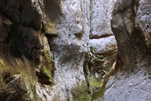 Montenegro: 3-Day Canyoning Expedition