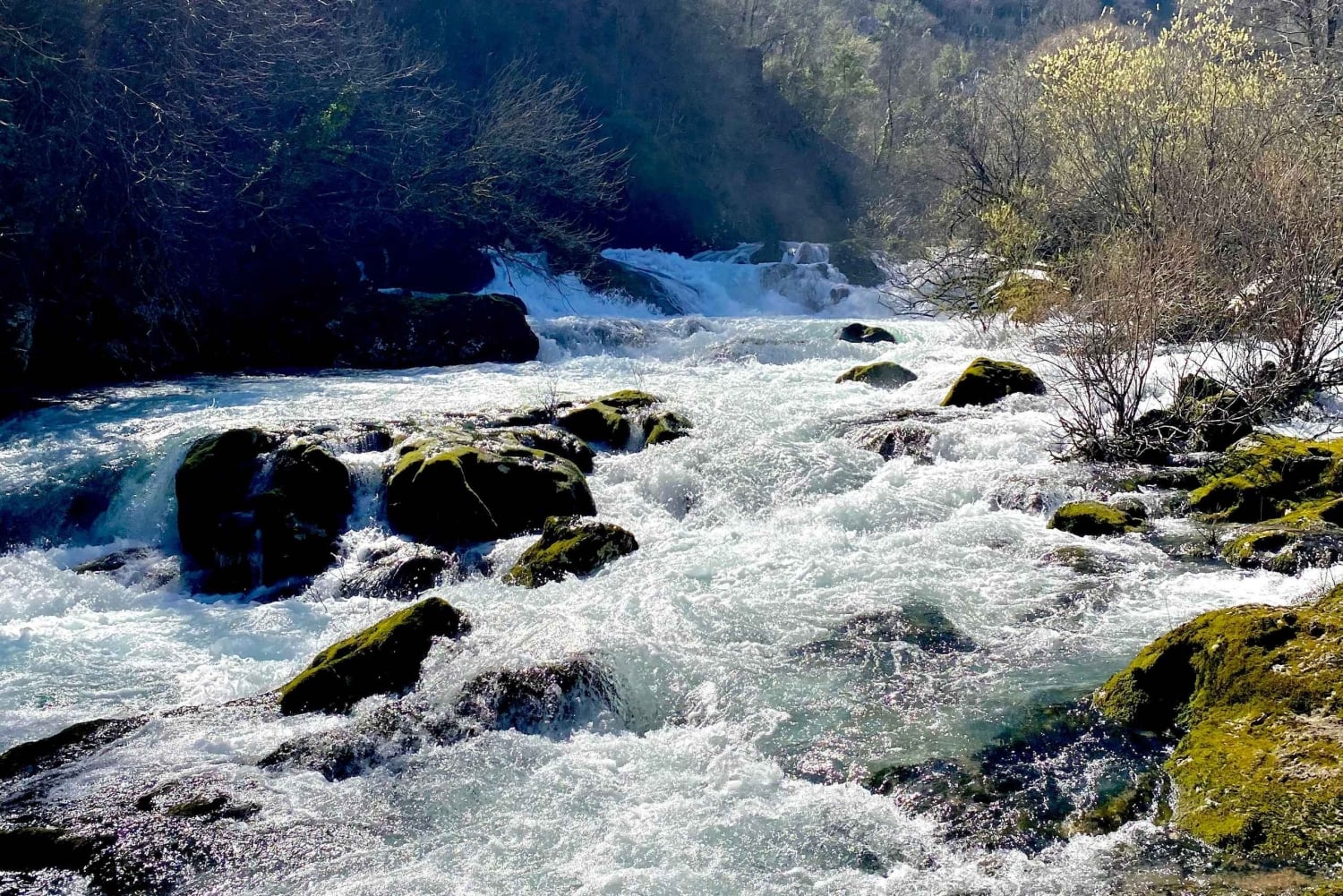Montenegro: Crnojević River and Obod Cave Tour