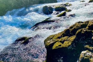 Montenegro: Crnojević River and Obod Cave Tour