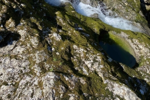 Montenegro: Crnojević River and Obod Cave Tour