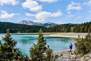 Montenegro: Durmitor, Tara & Ostrog Monastery Day Trip