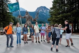 Montenegro: Durmitor, Tara & Ostrog Monastery Day Trip