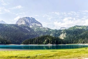 Montenegro: Durmitor, Tara & Ostrog Monastery Day Trip