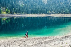 Montenegro: Durmitor, Tara & Ostrog Monastery Day Trip