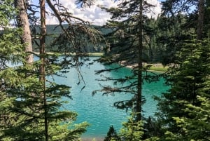 Montenegro: Durmitor, Tara & Ostrog Monastery Day Trip