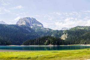 Montenegro: Durmitor, Tara & Ostrog Monastery Day Trip