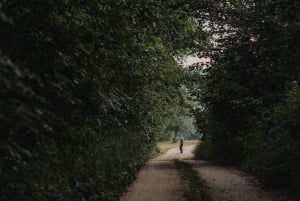 Montenegro: Foraging Wild Mushrooms and Cooking Experience