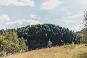 Montenegro: Foraging Wild Mushrooms and Cooking Experience