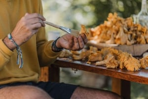 Montenegro: Foraging Wild Mushrooms and Cooking Experience