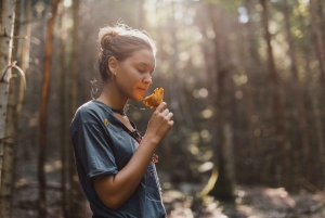 Montenegro: Foraging Wild Mushrooms and Cooking Experience