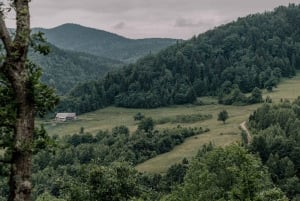 Montenegro: Foraging Wild Mushrooms and Cooking Experience