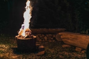 Montenegro: Foraging Wild Mushrooms and Cooking Experience