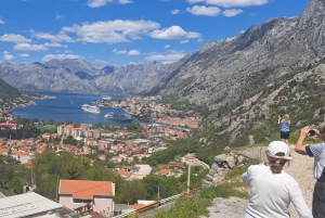 From Dubrovnik: Highlights of Montenegro Tour