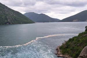 Montenegro Full-Day Trip from Dubrovnik