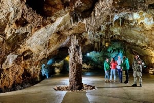 Montenegro: Lipa Cave Guided Tour with Transfer